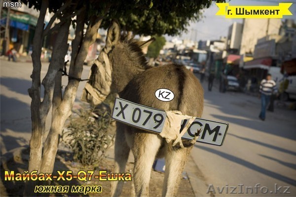 NewUzencity Ешка  - Изображение #1, Объявление #19753