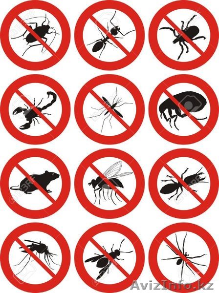  Дезинcекция и дератизация Жанаозен - Изображение #1, Объявление #1561297