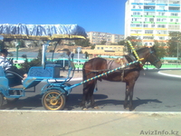 карета - фаэтон - Изображение #1, Объявление #1230788