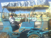 карета - фаэтон - Изображение #2, Объявление #1230788