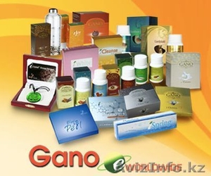 Халал препарат лечит геморрой,  простату и все другие половые болезни.